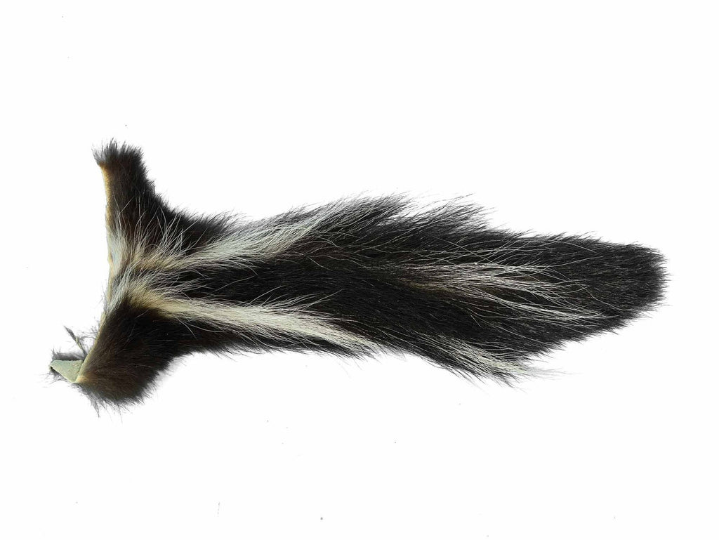 Skunk Tail Taxidermy – Dapper Cadaver Props