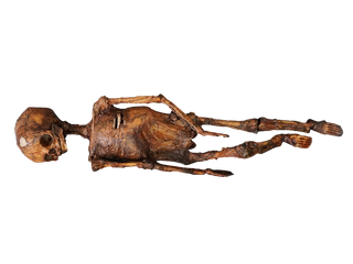 Mummified Infant