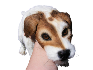 Jack Russell Terrier Dog Prop