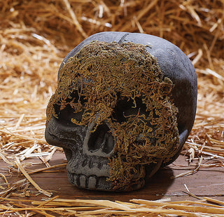 Moss Covered Skull Cranium