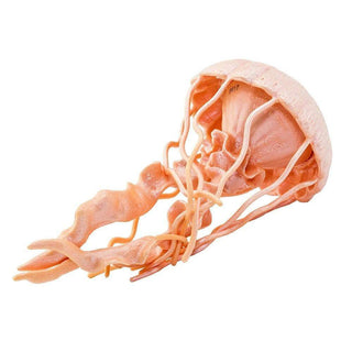 Realistic Rubber Jellyfish