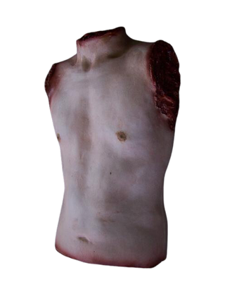 Joe Torso