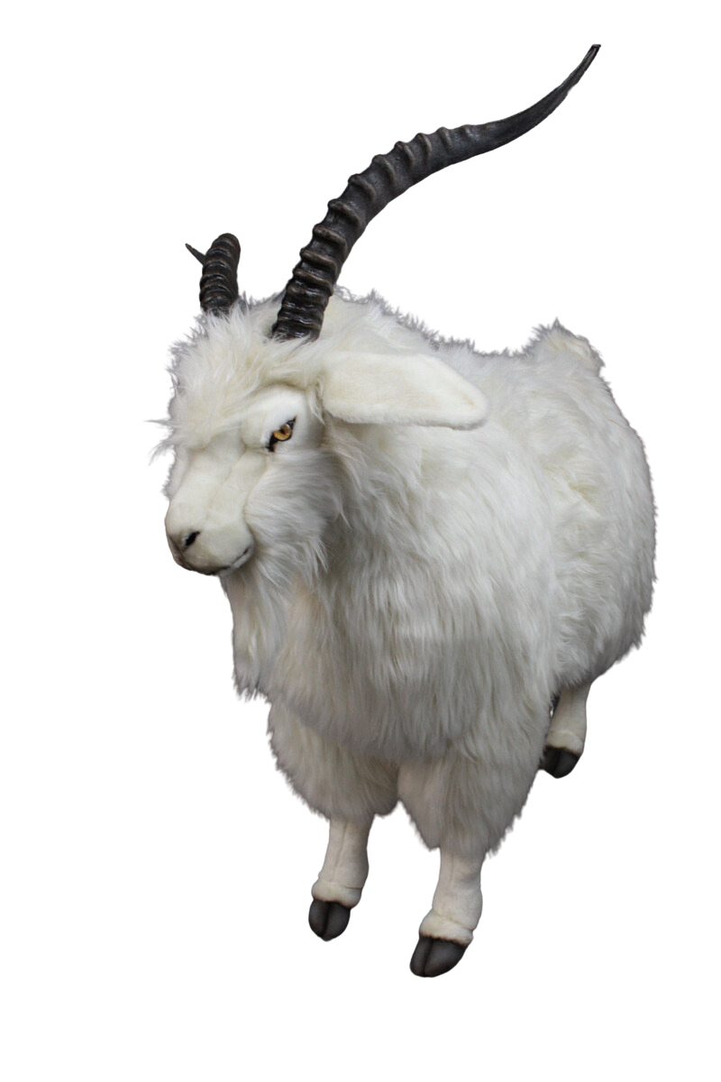 GOAT GODZILLA White Lサイズ グラキリス パキプス GOAT GODZILLA GOAT GODZILLA White Lサイズ グラキリス パキプス GOAT GODZILLA