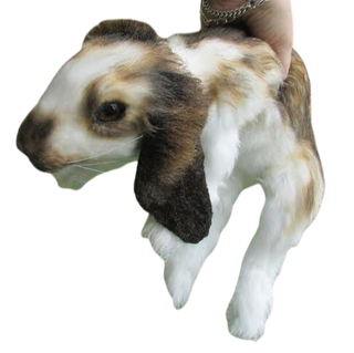 Lop Eared Rabbit Prop - Special Order
