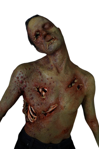 Maggot Infested Blister Alan Half Anatomical Dummy