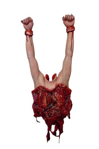 Maggot Infested Autopsy Olly Photo Op
