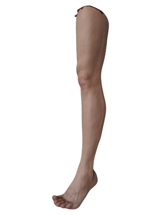 Male Joe Legs