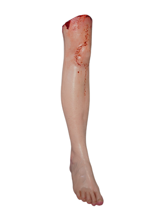 Meredith Female Legs