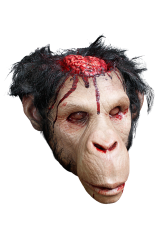 Monkey Brains Head