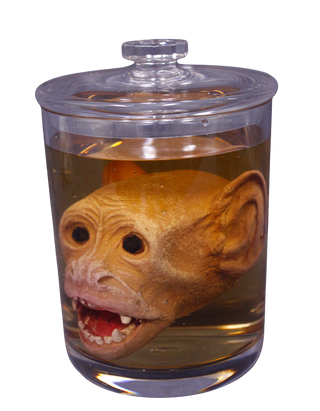 Monkey Head Apothecary Specimen Jar
