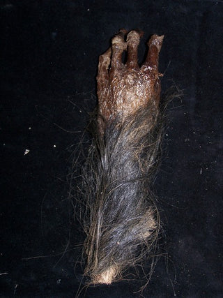 Large Realistic Monkeys Paw