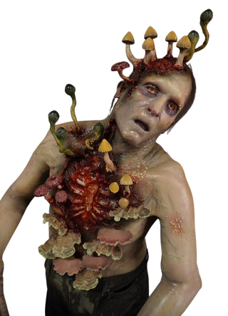 Mushroom Zombie Joaquin Character