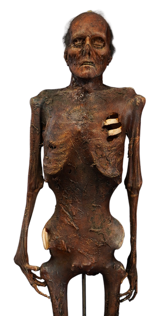 Nell Mummy Prop