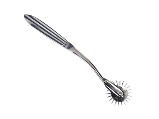 Neural Pinwheel