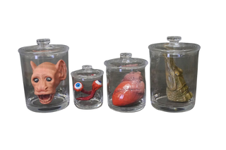 Oddity Animals Shatterproof Specimen Jar Combo