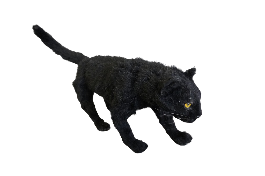 Open Eye Black Cat Prop – Dapper Cadaver Props