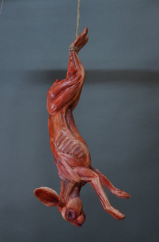 Skinned Rabbit