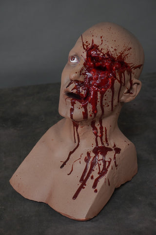 Shotgun Blasted Henry Head