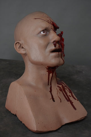 Shotgun Blasted Henry Head