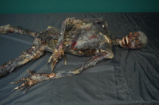 Burnt Skeleton Mummy