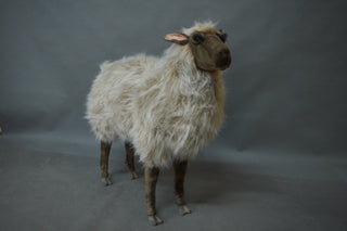 Life Size Plush Sheep - Special Order