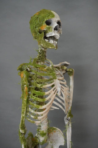 Moss Covered Skeleton