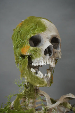 Moss Covered Skeleton