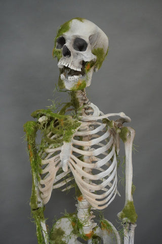 Moss Covered Skeleton