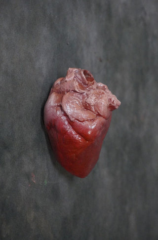 Small Lifelike Heart
