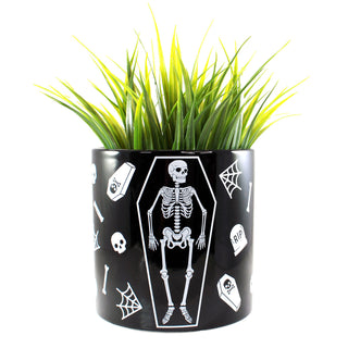 Skeleton Plant Container
