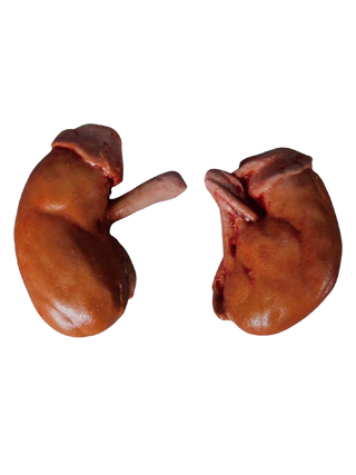 Prop Kidney Pair