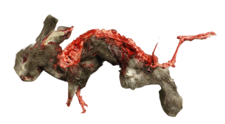 Roadkill Rabbit Prop