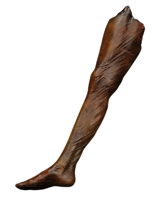 Roasted Leg