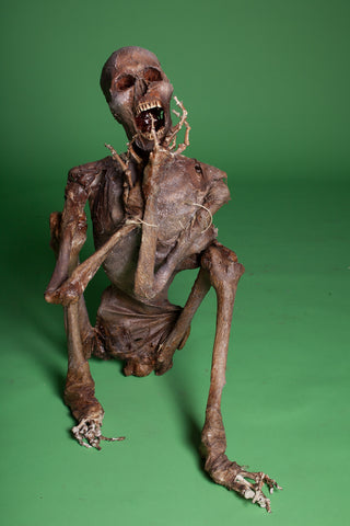 Revash Sitting Mummy