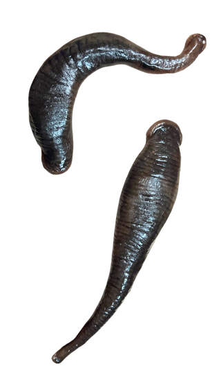 Set of 2 Silicone Leeches