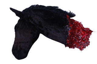 Severed Horse Head Prop - Special Order
