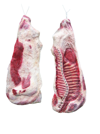 Side of Beef Flatback Pair