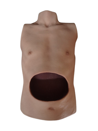 Silicone Abdominal Surgery Joe Torso