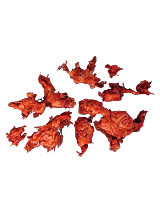 Silicone Brain Chunks Prop