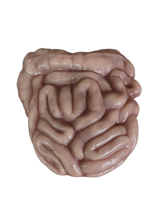 Sculpted Flatback Intestines, Silicone Rubber