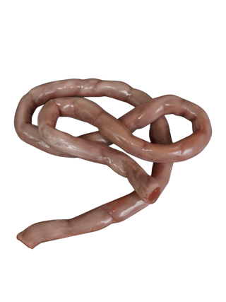 Silicone Small  Intestine