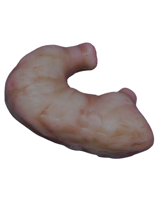 Silicone Stomach Prop