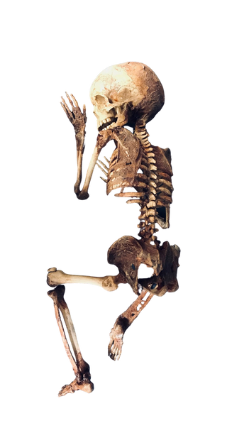 Skin and Bones Toddler Mummy