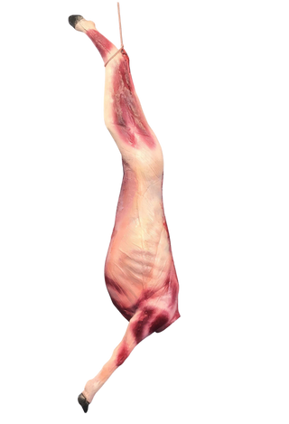 Skinned Goat Half