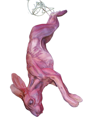 Skinned Rabbit