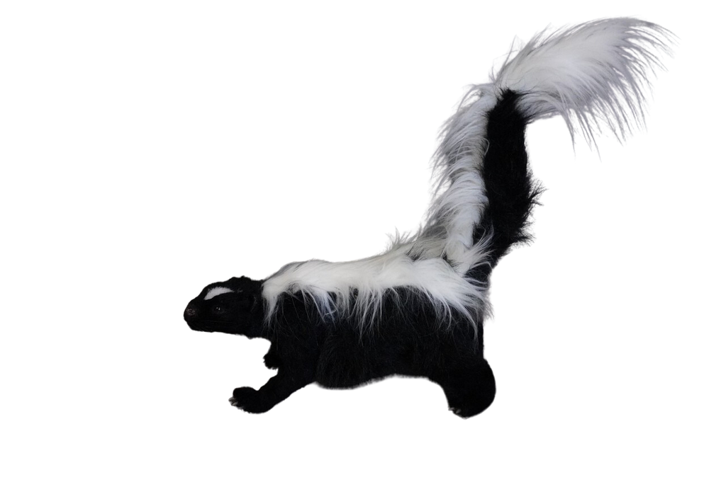 Skunk Prop – Dapper Cadaver Props