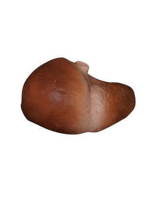 Small Prop Liver