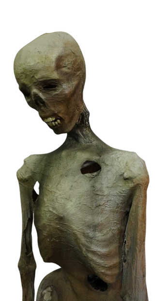 Tarim Mummy