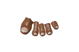 5 Piece Toe Set