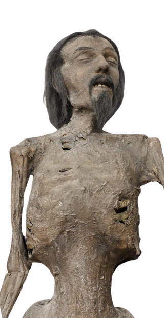 Tony Mummy with Beard